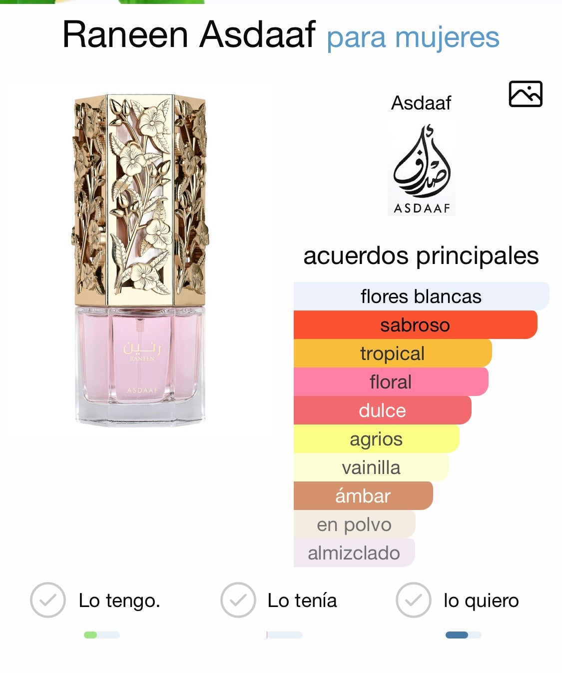 Raneen Asdaf by Lattafa