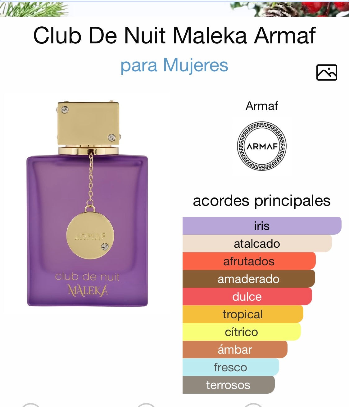 Club de Nuit Maleka