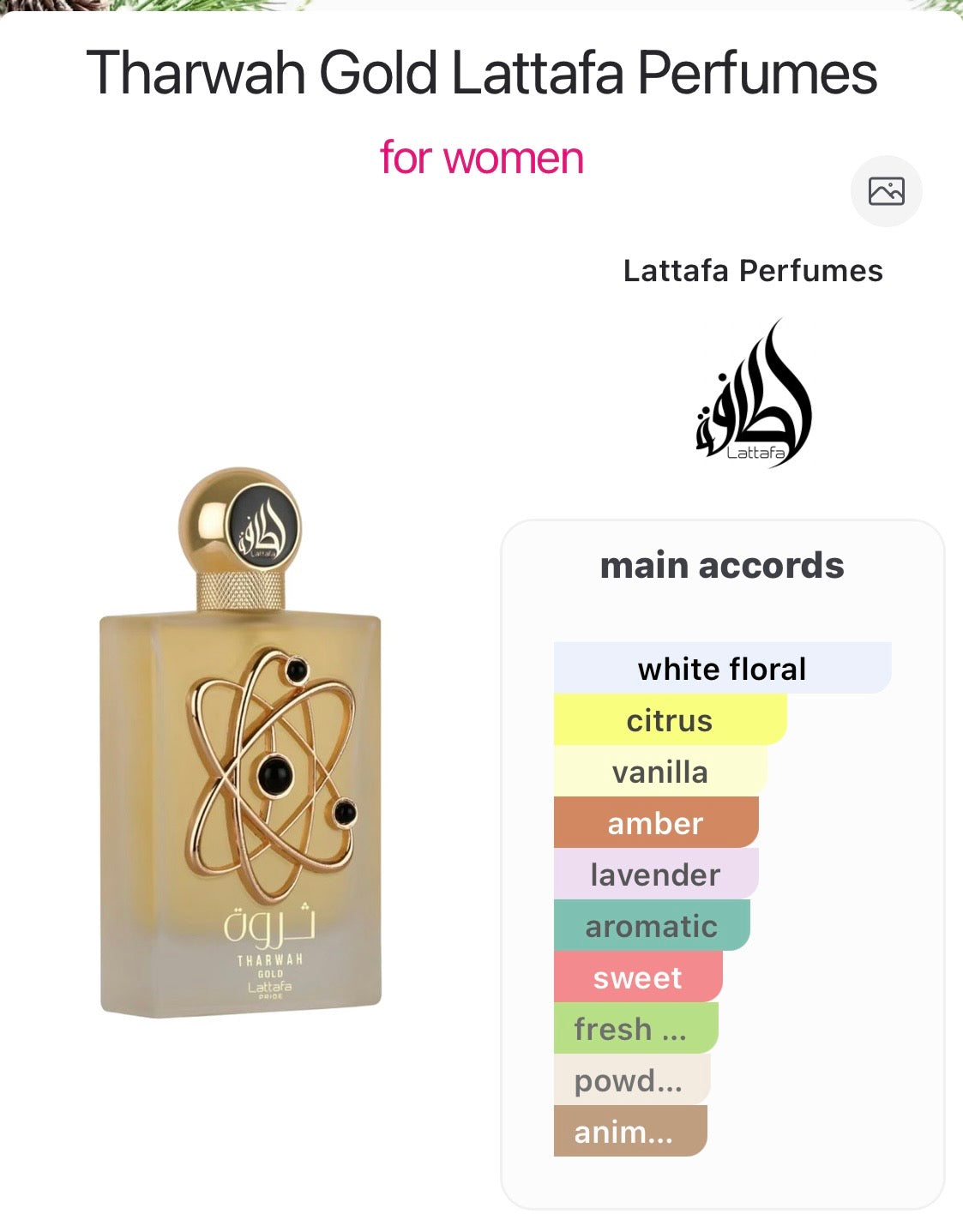 Combo 3 Joyas de Lattafa: Afeef, Tharwah Gold, Musamam White Intense.