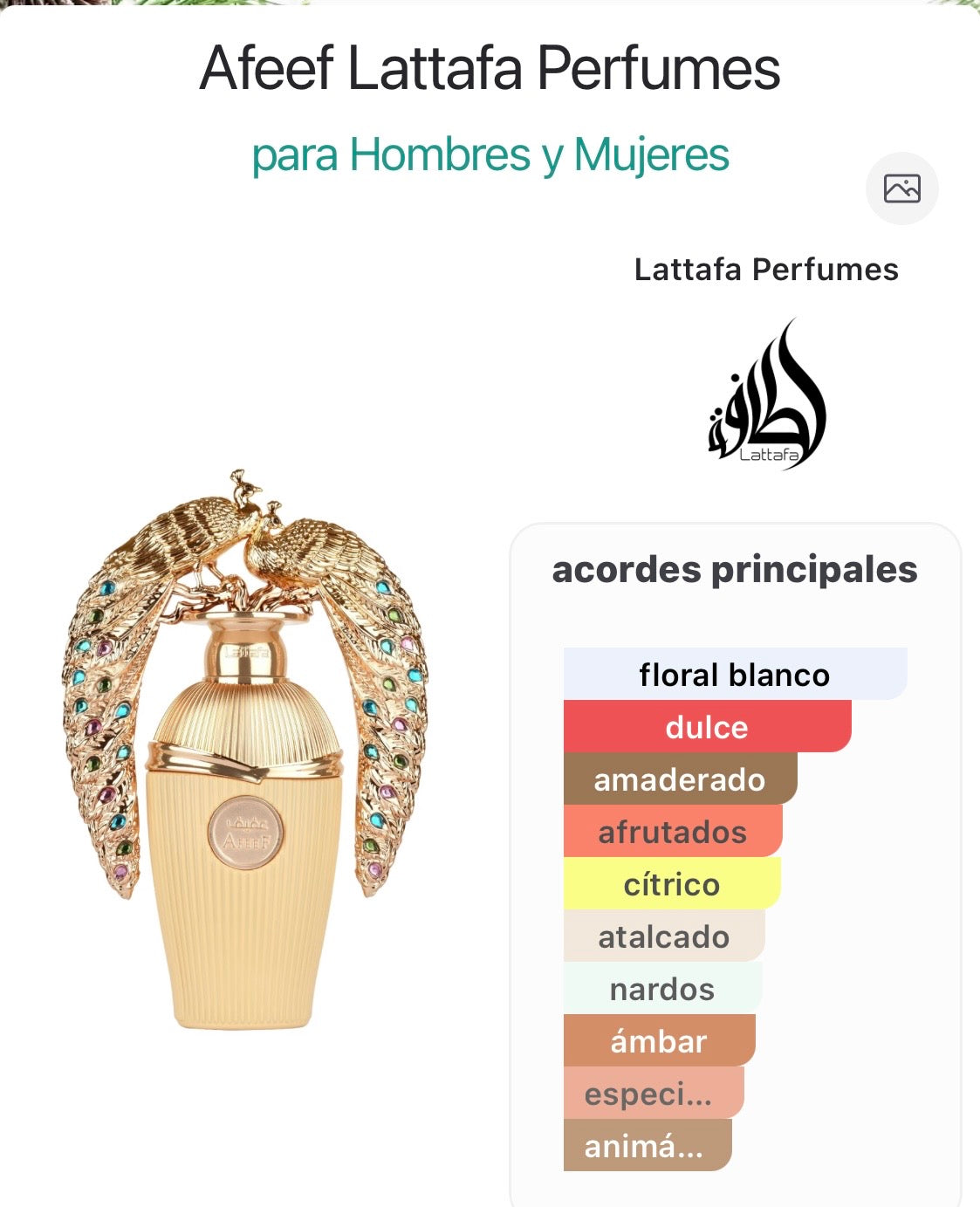 Combo 3 Joyas de Lattafa: Afeef, Tharwah Gold, Musamam White Intense.