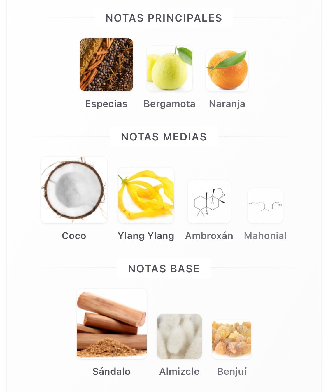 Musamam White Intense