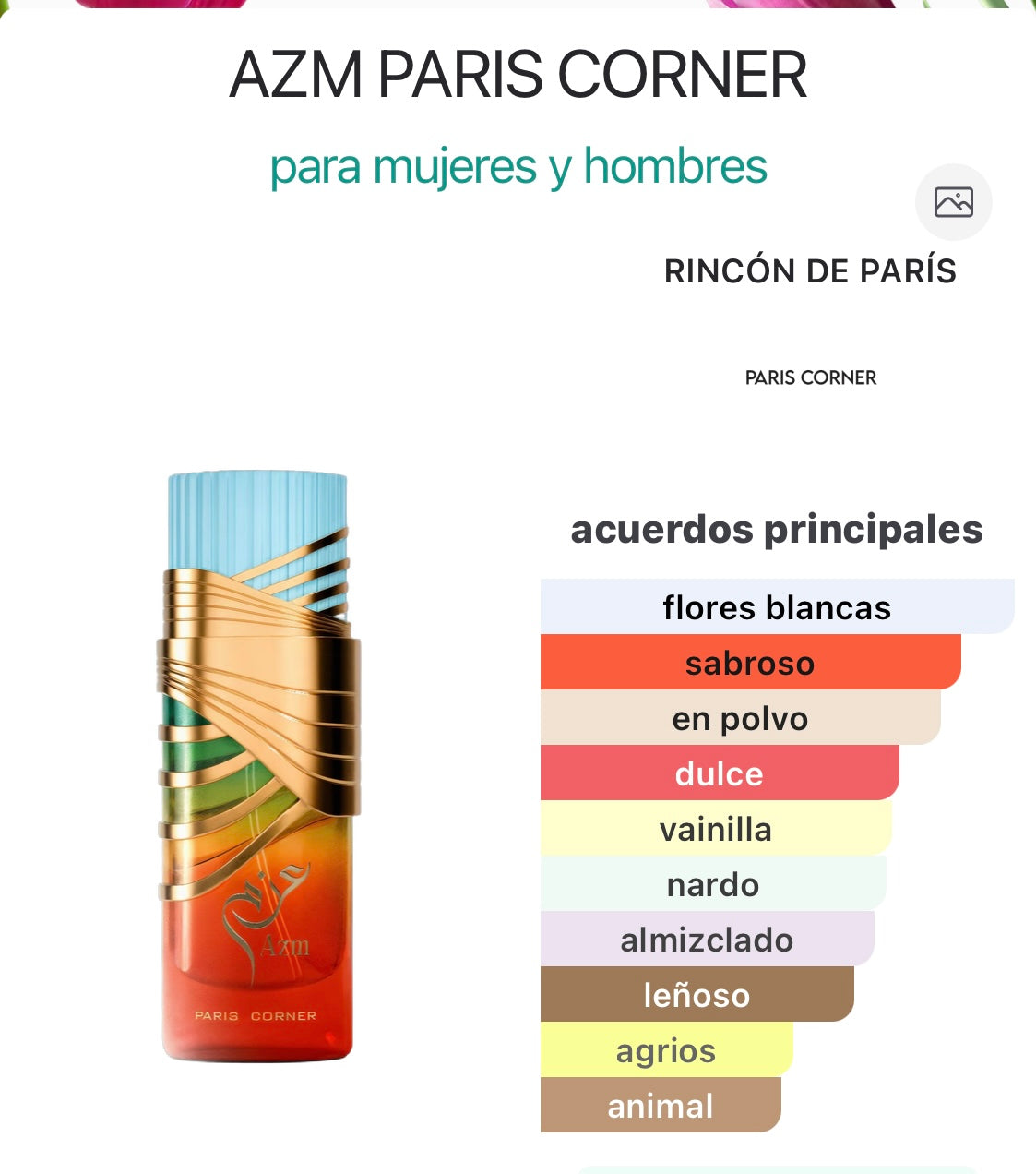AZM de PARIS CORNER