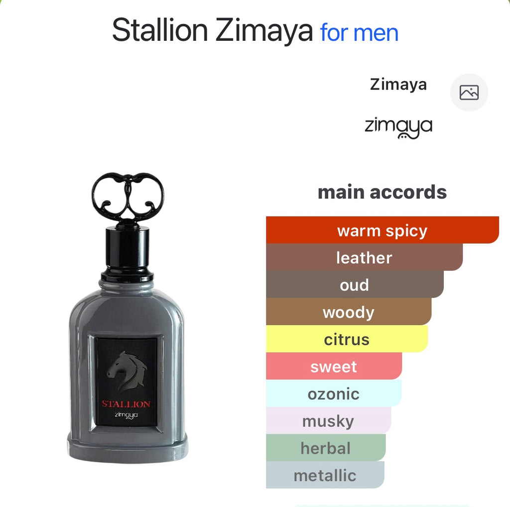 Stallion Zimaya
