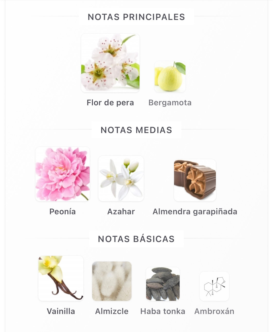 Angham Second Song Lattafa