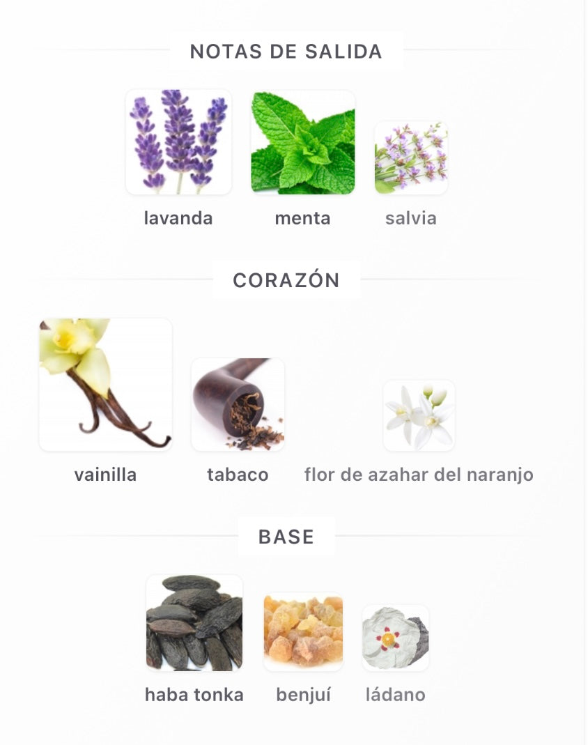 The Kingdom For Men Lattafa Perfumes para Hombres