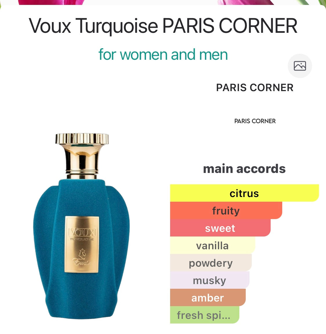 Voux Turquoise PARIS CORNER