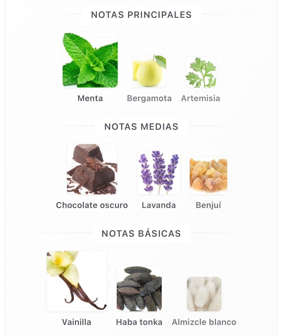 Hawas Elixir Rasasi