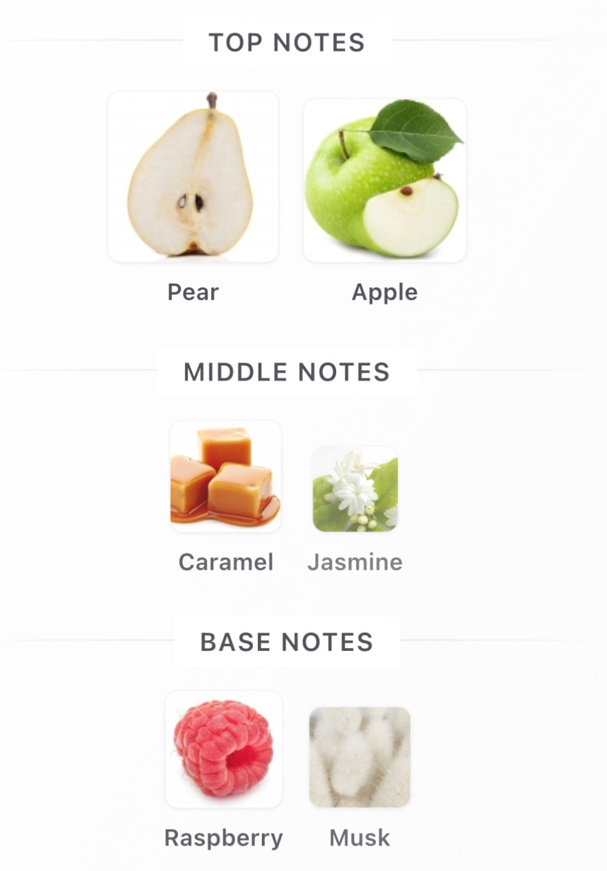 Pear Potion PARIS CORNER